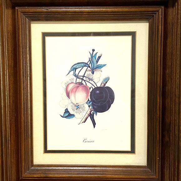 Botanical Lithograph Print Framed in Shadowbox Deep Walnut Solid Wood Frame - Picture 2 of 8